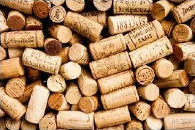 Quel nom donne-t-on &agrave; un collectionneur de bouchons de li&egrave;ge ?