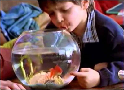 Dans une pub, quel &eacute;tait le nom du poisson rouge &agrave; qui le petit gar&ccedil;on disait ''Tu pousses le bouchon un peu trop loin'' ?