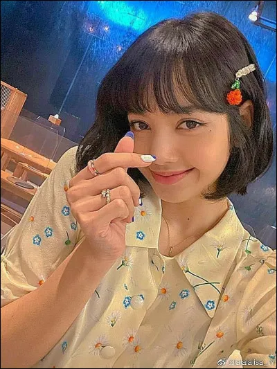 Encore un peu plus dur, peux-tu me donner le premier nom de Lisa ?