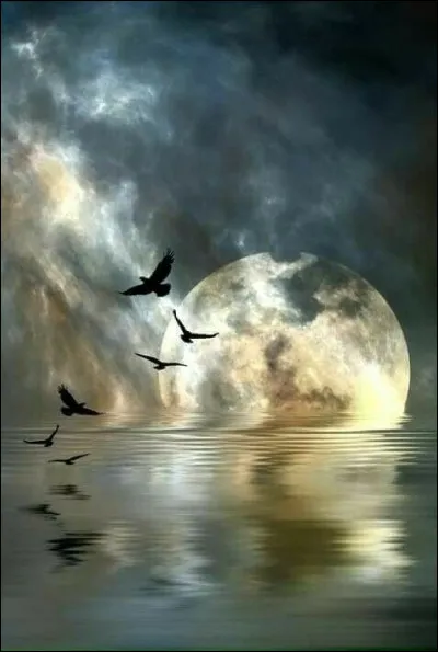 On évoque les paroles de cette chanson dont il faut trouver l'interprète : "Moi je n'étais rien et voilà qu'aujourd'hui je suis le gardien du sommeil de ses nuits" :