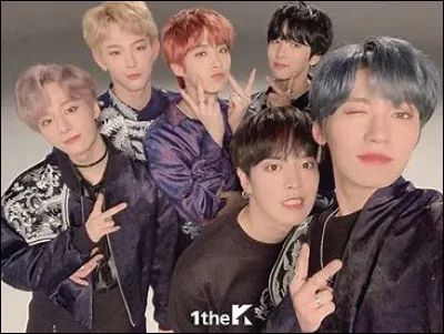 Quel membre a un jumeau dans le groupe Onewe ?