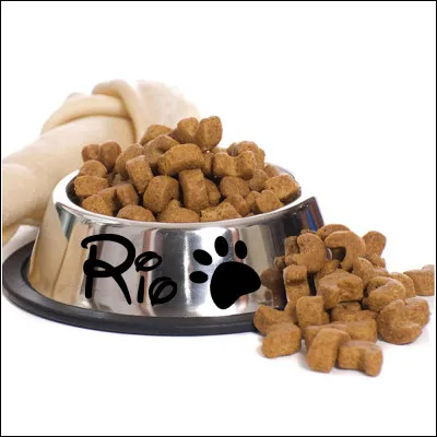 Comment pr&eacute;f&egrave;res-tu t'appeler ?