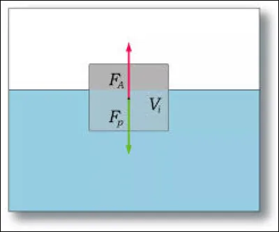 Sciences et Nature : Comment appelle-t-on la force particulière que subit un corps placé entièrement ou partiellement dans un fluide et soumis à un champ de gravité ?