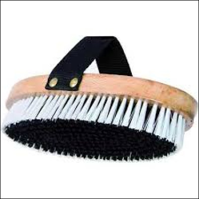 Quel est cet outil de pansage ?