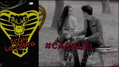 Qui est le ''Cobra'' ?