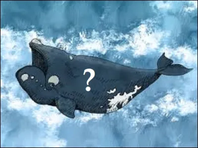 Quel grand mammifère marin est aussi appelé ''baleine tueuse'' ?