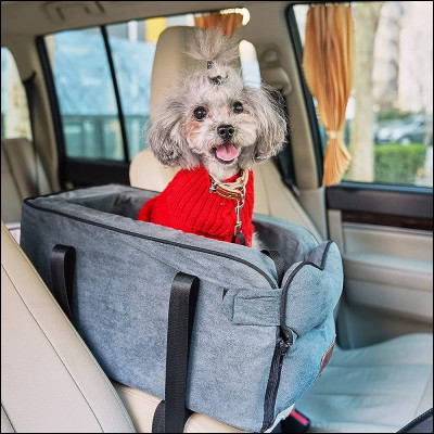 Préfères-tu un animal de compagnie petit, moyen ou grand ?