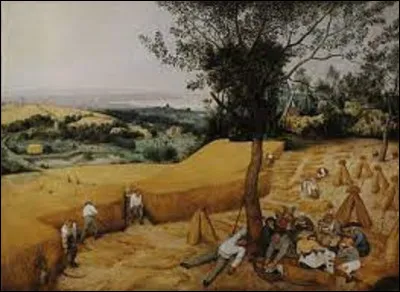 ''La Moisson'' ou ''Les Moissonneurs'' est un tableau peint en 1565 par un artiste de la Renaissance qui se nomme...