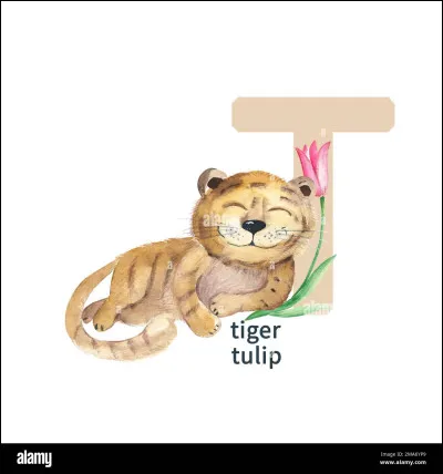 Sous l'Ancien régime, le surnom de ''Tulipe'' était donné aux soldats insouciants et...