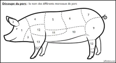 Gastronomie : Quel numéro correspond au jarret sur ce schéma ?