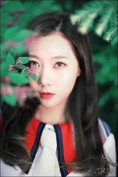 Comment s'appellent les fans de Dreamcatcher ?