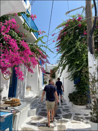 Quelle fleur retrouve-t-on dans les rues de Mykonos ?
