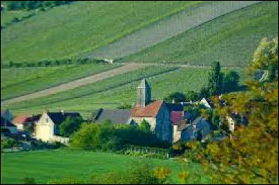 Je vous emmène au milieu des vignes, à Monthurel. Village de l'aire d'attraction Castelthéodoricienne, il se situe dans le département ...