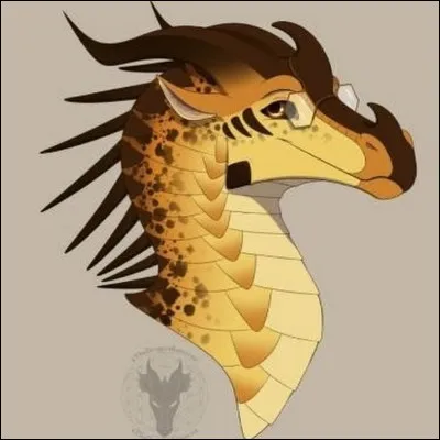 Suite, si tu es une fille, comment es-tu ?