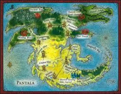 Tu es un rebelle de Pantala, tu es recherché par le monde entier, que fais-tu  ?