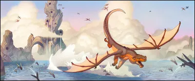 Suite, tu es un garçon, quelle est ta couleur décailles  ?