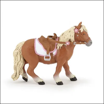 Comment appelle-t-on la selle pour le shetland ?