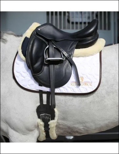 Lesquelles de ces propositions sont des sangles ?