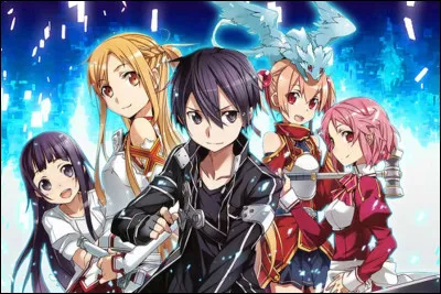 Si ''Sword Art Online'' existait, tu préférerais être :