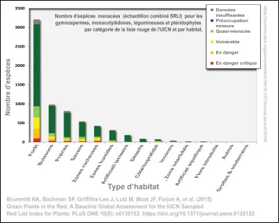 Quels sont les félins les plus menacés ?