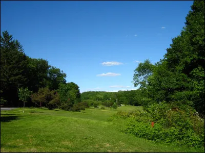 Comment appelle-t-on cette zone en forêt sans aucun arbre et où la lumière du Soleil peut entièrement passer ?