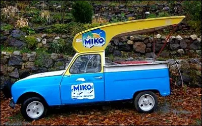 Quel est le métier exercé par le propriétaire de cette Renault 4 ?