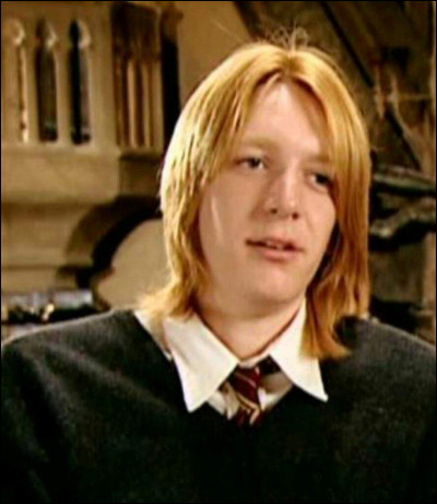 J'ai perdu une oreille au cours de la bataille des 7 Potter.