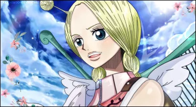 Elle est une habitante de l'île céleste. Elle aide Luffy et son équipage à s'acclimater à Skypiea et à comprendre les enjeux politiques et les conflits entre les différentes tribus de l'île. Quel est son nom ?