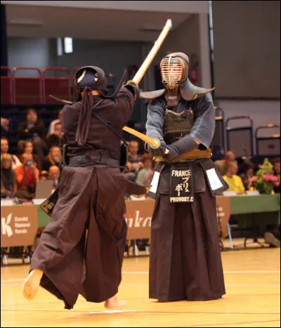 Sports et Loisirs : Quel bois est traditionnellement utilisé pour fabriquer les sabres de kendo ?