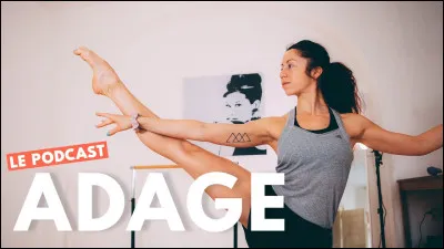 Qu'est-ce qu'un adage ?