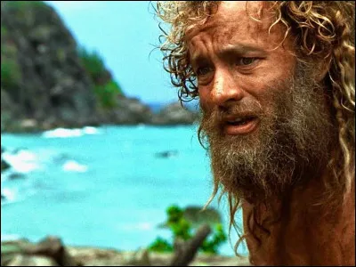 Pour quelle entreprise le personnage de Chuck Noland du film ''Seul au monde'' travaille-t-il ?