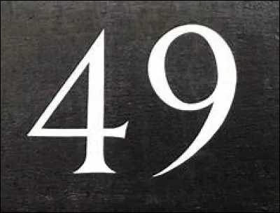 Quel pays appelle-t-on en ajoutant +49 devant un numéro de téléphone ?