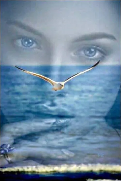 À qui doit-on le roman policier "Rien ne t'efface" ?