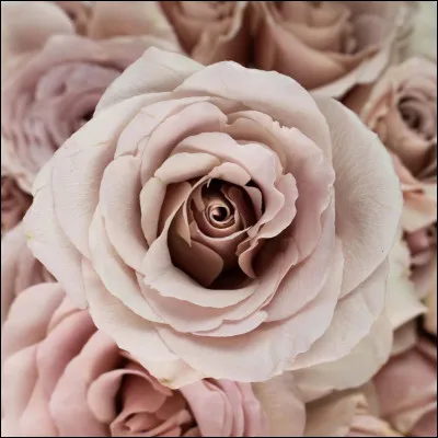 Et niveau amour, où en es-tu ?