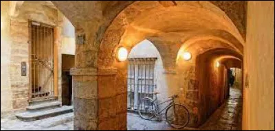 Quel est le nom de ces passages piétons à travers des cours d'immeuble ?