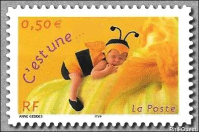 Complétez la légende de ce timbre faire-part : "C'est une..."