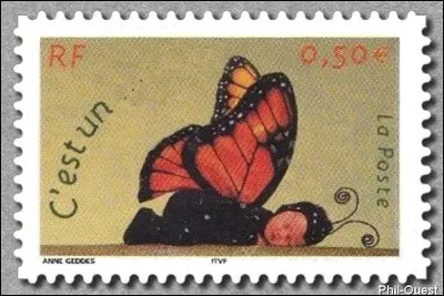 Complétez la légende de ce 2e timbre faire-part : "C'est un..."