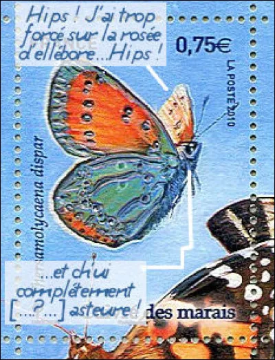 Retrouvez le nom de l'impétrant, dont le titre nobiliaire est "des Marais" !