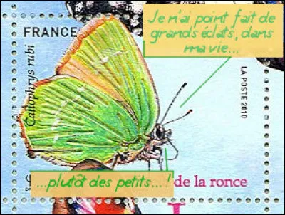 Suite de notre parcours entomologique ! Quel est ce ci-devant papilionacée ?