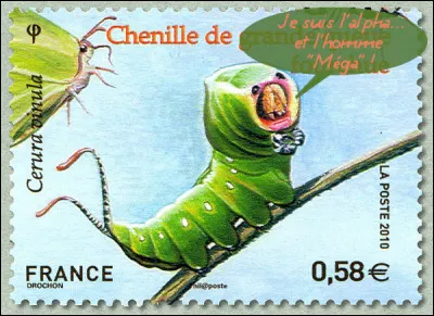 Et la boucle est bouclée... avec cette "Chenille de ..." (Complétez !)