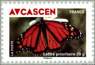 On dit d'un papillon qu'il est "avcascen" lorsque ... (Complétez !)