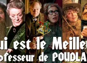 Quiz Dfi Harry Potter : les professeurs