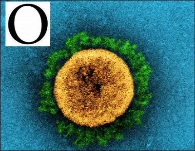 Omicron est le variant le plus contagieux du SIDA.