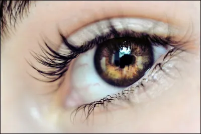 De quelle couleur sont tes yeux ?