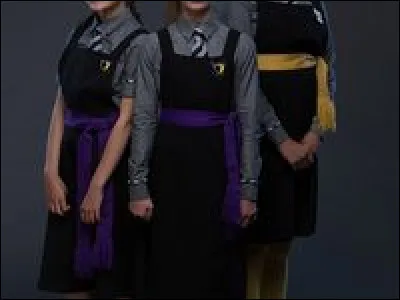 La ceinture que tu préfèrerais avoir est :