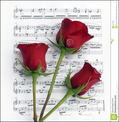 Qui se cache parmi les fleurs ?