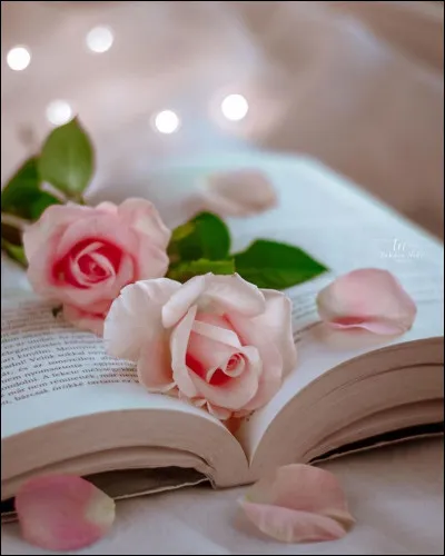 Où s'est camouflé Dagobert ?