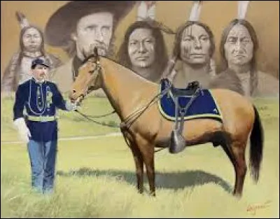 26 juin 1876, le lieutenant-colonel G. Custer attaque une coalition de Sioux et de Cheyennes. C'est la bataille de Little Bighorn. George Custer y perd la vie ainsi que 263 hommes (sur 647) du 7e de cavalerie. Un seul cheval survécut, ironie de l'histoire, il s'appelait...