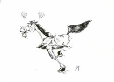 Jolly Jumper et Lucky Luke, Tornado et Zorro, Rossinante et Don Quichotte, Arabesque et le caporal Blutch (cf. question 14), le cheval blanc, c'est Henri IV. Petit Tonnerre, c'est...