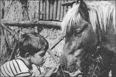 Cécile Aubry, ancienne actrice, écrit et réalise en noir et blanc 13 épisodes sur Poly, un poney (1961). L'un des personnages principaux (Pascal) est interprété par Mehdi El Glaoui. Ce dernier et Cécile Aubry sont...